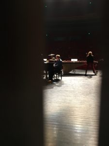 Vue entre les panneaux de la conque durant le concert.