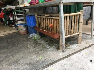 Ici même les poules mangent du riz.